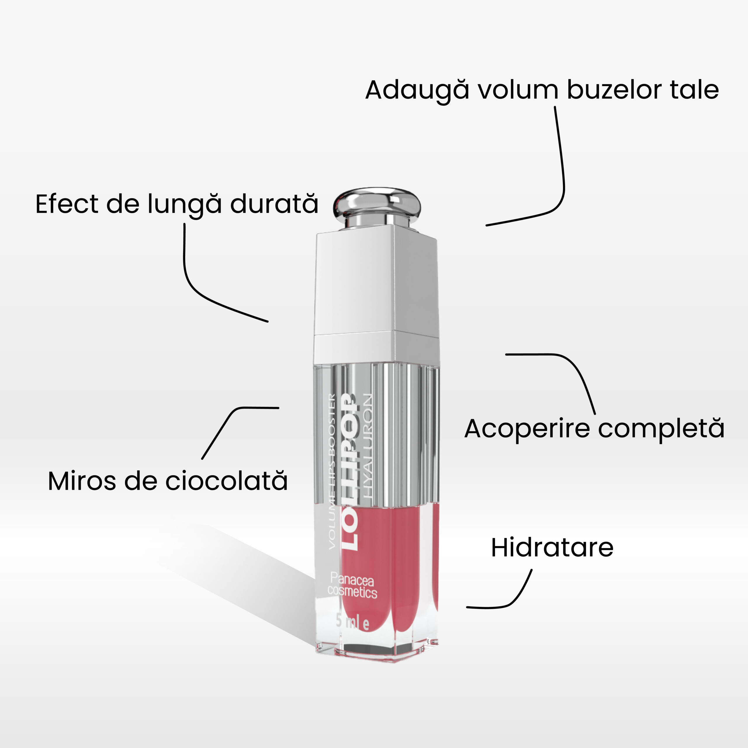 RUJ LOLLIPOP MATTE COLLECTION DESERT ROSE